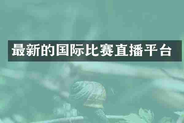 最新的国际比赛直播平台
