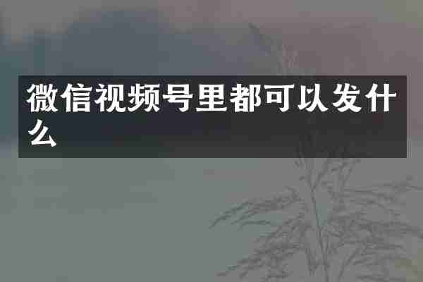 微信视频号里都可以发什么