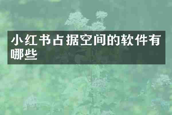 小红书占据空间的软件有哪些