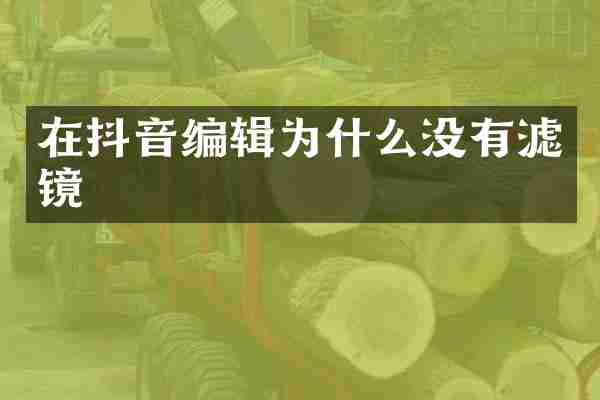 在抖音编辑为什么没有滤镜