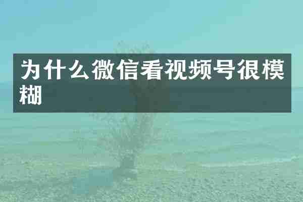 为什么微信看视频号很模糊