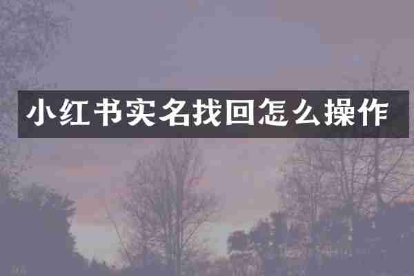 小红书实名找回怎么操作