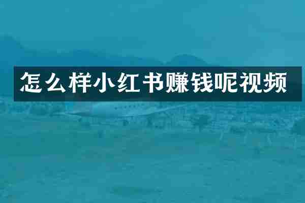 怎么样小红书赚钱呢视频