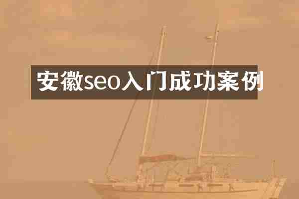 安徽seo入门成功案例