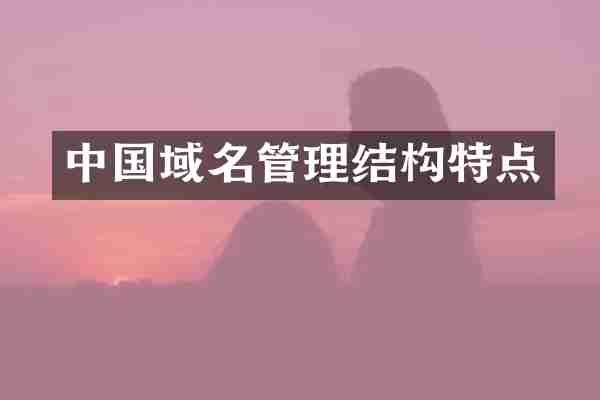 中国域名管理结构特点