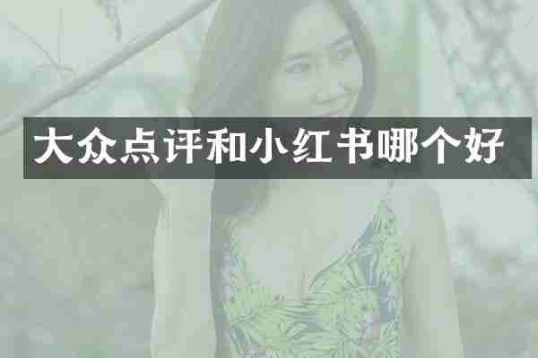 大众点评和小红书哪个好