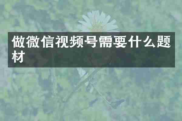 做微信视频号需要什么题材