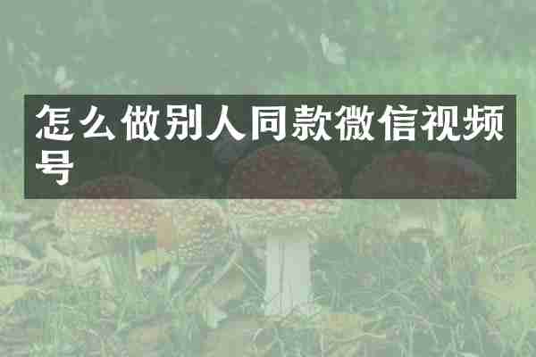 怎么做别人同款微信视频号