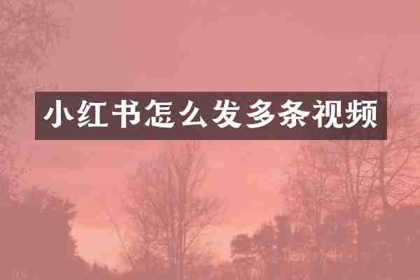 小红书怎么发多条视频