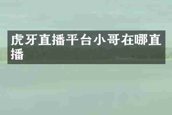 虎牙直播平台小哥在哪直播