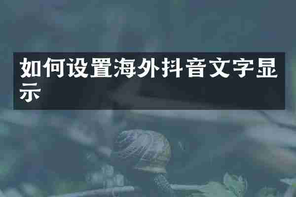 如何设置海外抖音文字显示