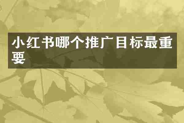 小红书哪个推广目标最重要