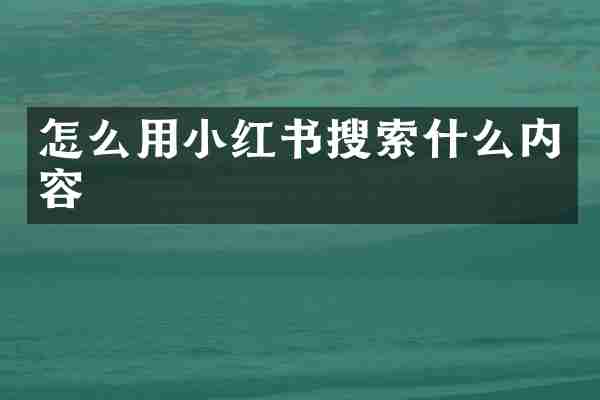 怎么用小红书搜索什么内容