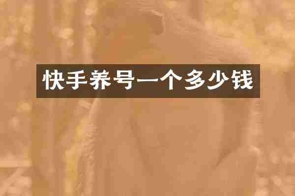 快手养号一个多少钱