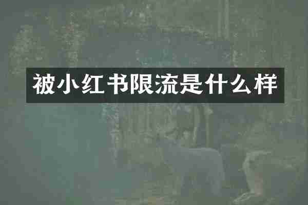 被小红书限流是什么样