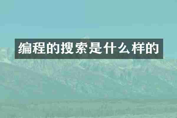 编程的搜索是什么样的