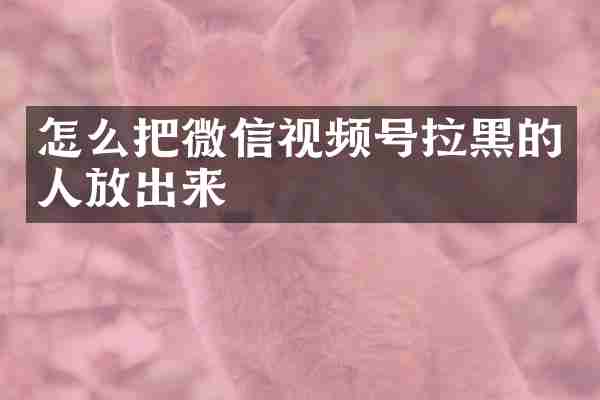 怎么把微信视频号拉黑的人放出来