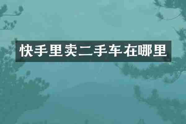 快手里卖二手车在哪里