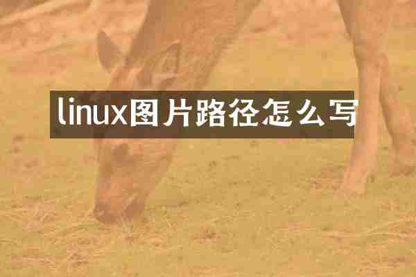 linux图片路径怎么写