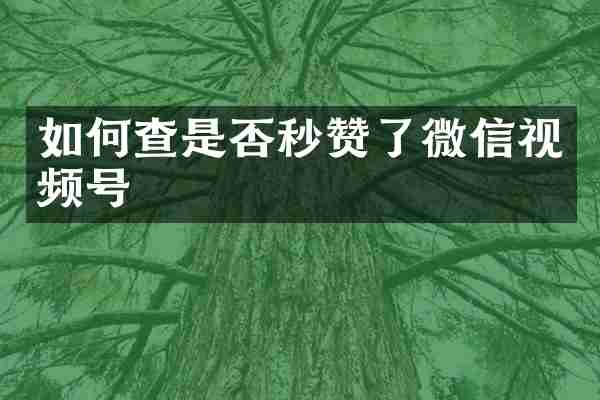 如何查是否秒赞了微信视频号
