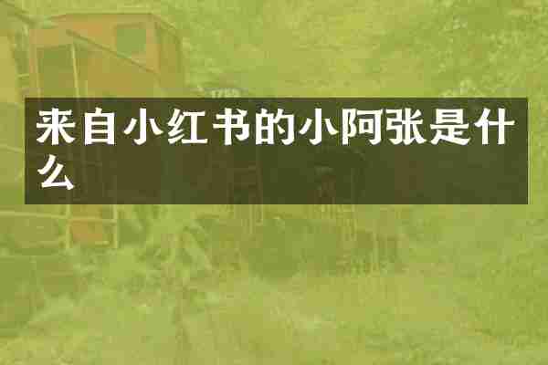 来自小红书的小阿张是什么