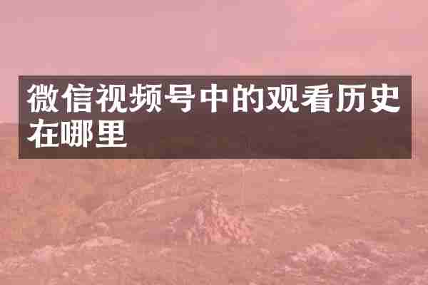 微信视频号中的观看历史在哪里