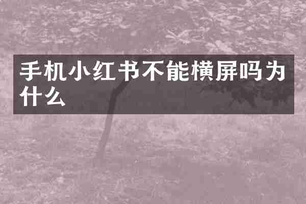 手机小红书不能横屏吗为什么