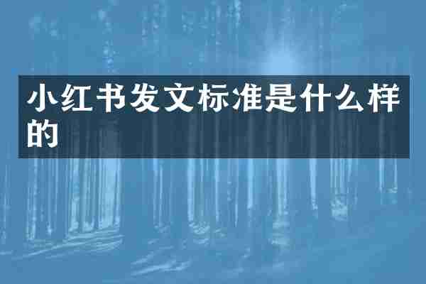 小红书发文标准是什么样的