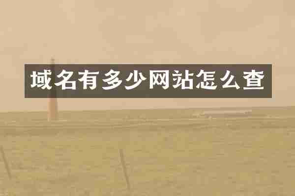 域名有多少网站怎么查