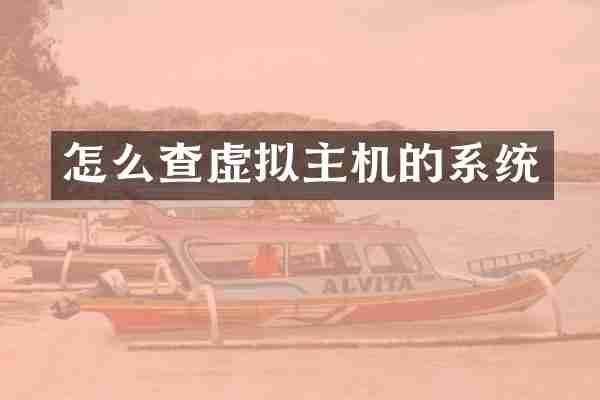 怎么查虚拟主机的系统