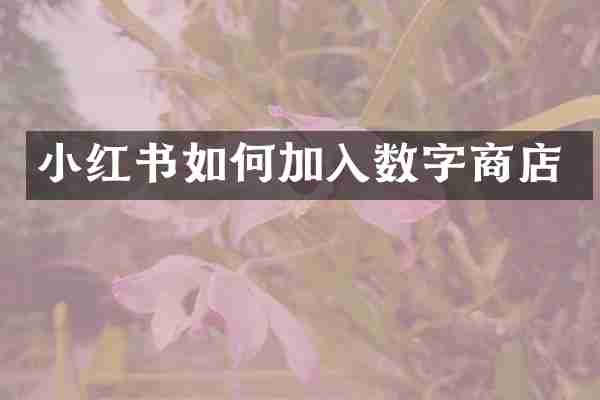 小红书如何加入数字商店