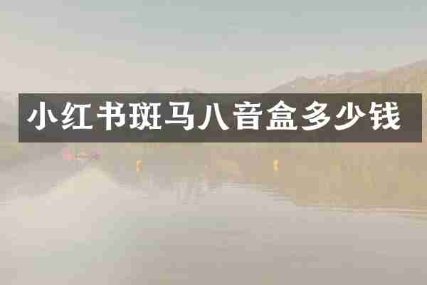 小红书斑马八音盒多少钱