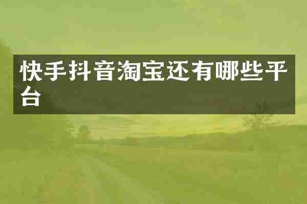 快手抖音淘宝还有哪些平台