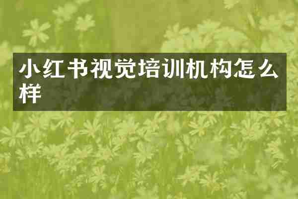 小红书视觉培训机构怎么样