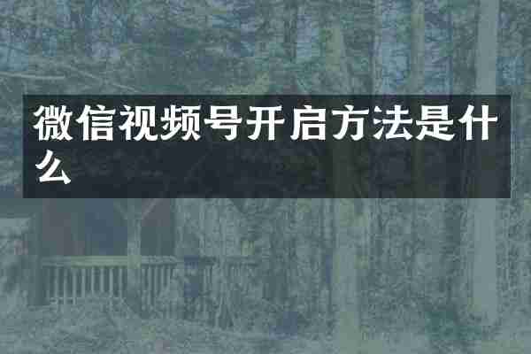 微信视频号开启方法是什么