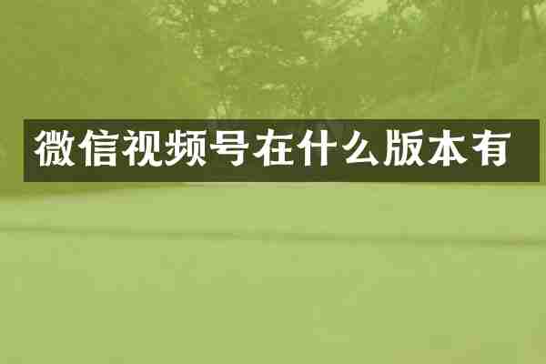 微信视频号在什么版本有