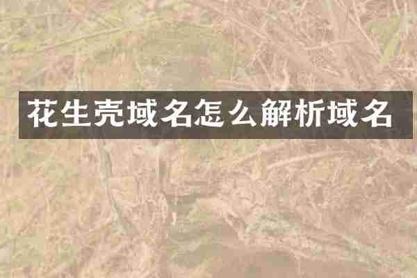 花生壳域名怎么解析域名