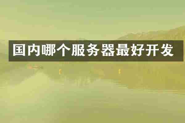 国内哪个服务器最好开发