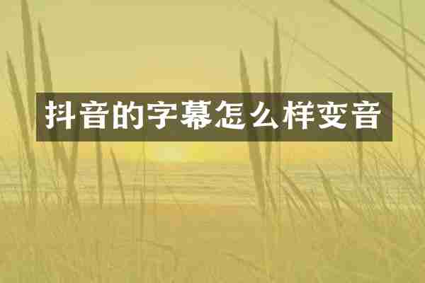 抖音的字幕怎么样变音