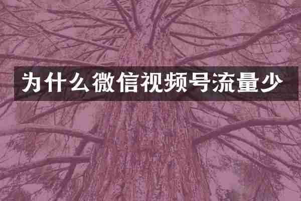 为什么微信视频号流量少
