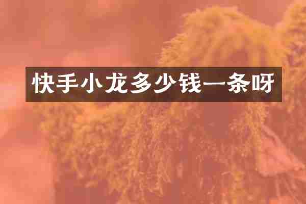 快手小龙多少钱一条呀