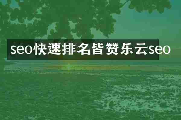 seo快速排名皆赞乐云seo