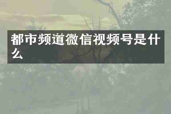 都市频道微信视频号是什么