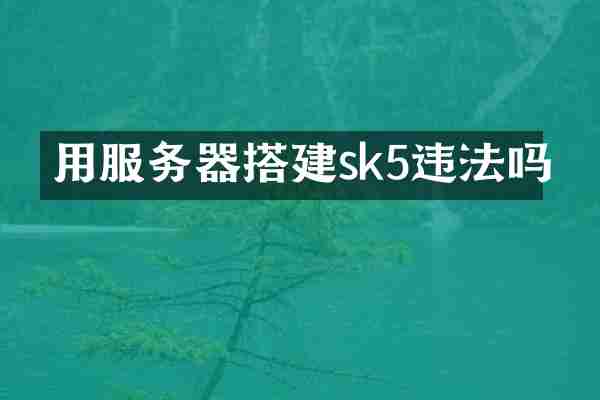 用服务器搭建sk5违法吗