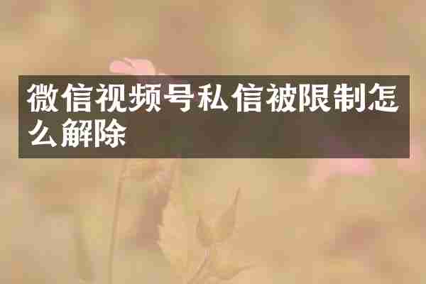 微信视频号私信被限制怎么解除