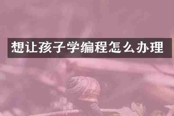 想让孩子学编程怎么办理