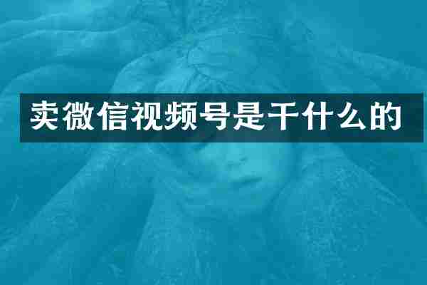 卖微信视频号是干什么的