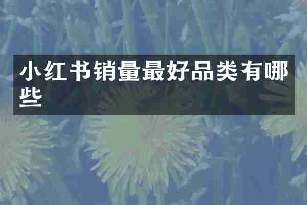 小红书销量最好品类有哪些