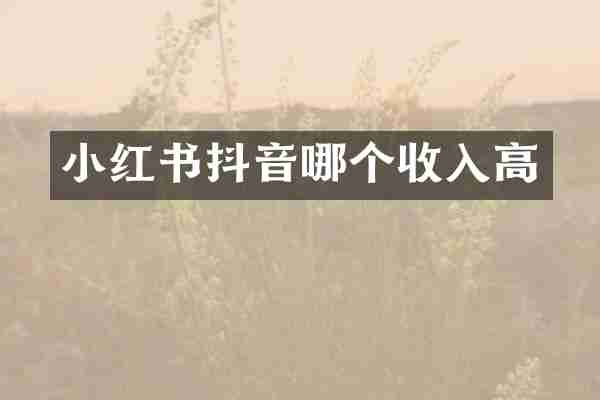 小红书抖音哪个收入高