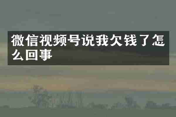 微信视频号说我欠钱了怎么回事